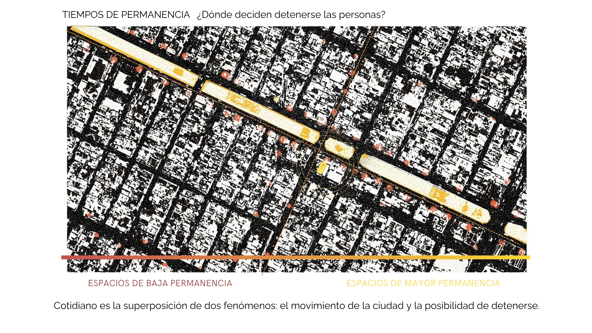 Imagen 8