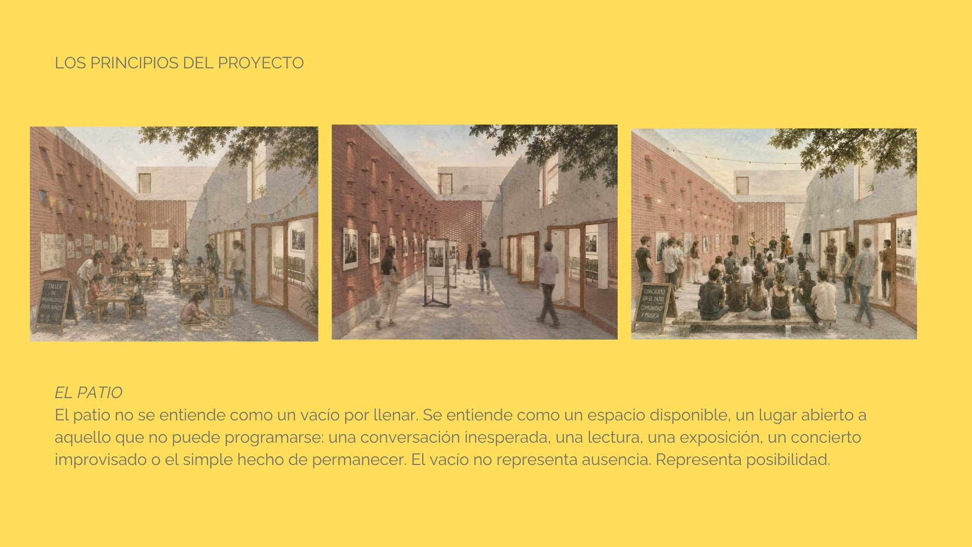 Imagen 11
