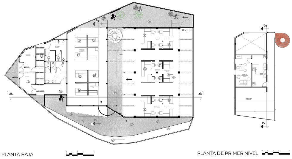 Imagen 7